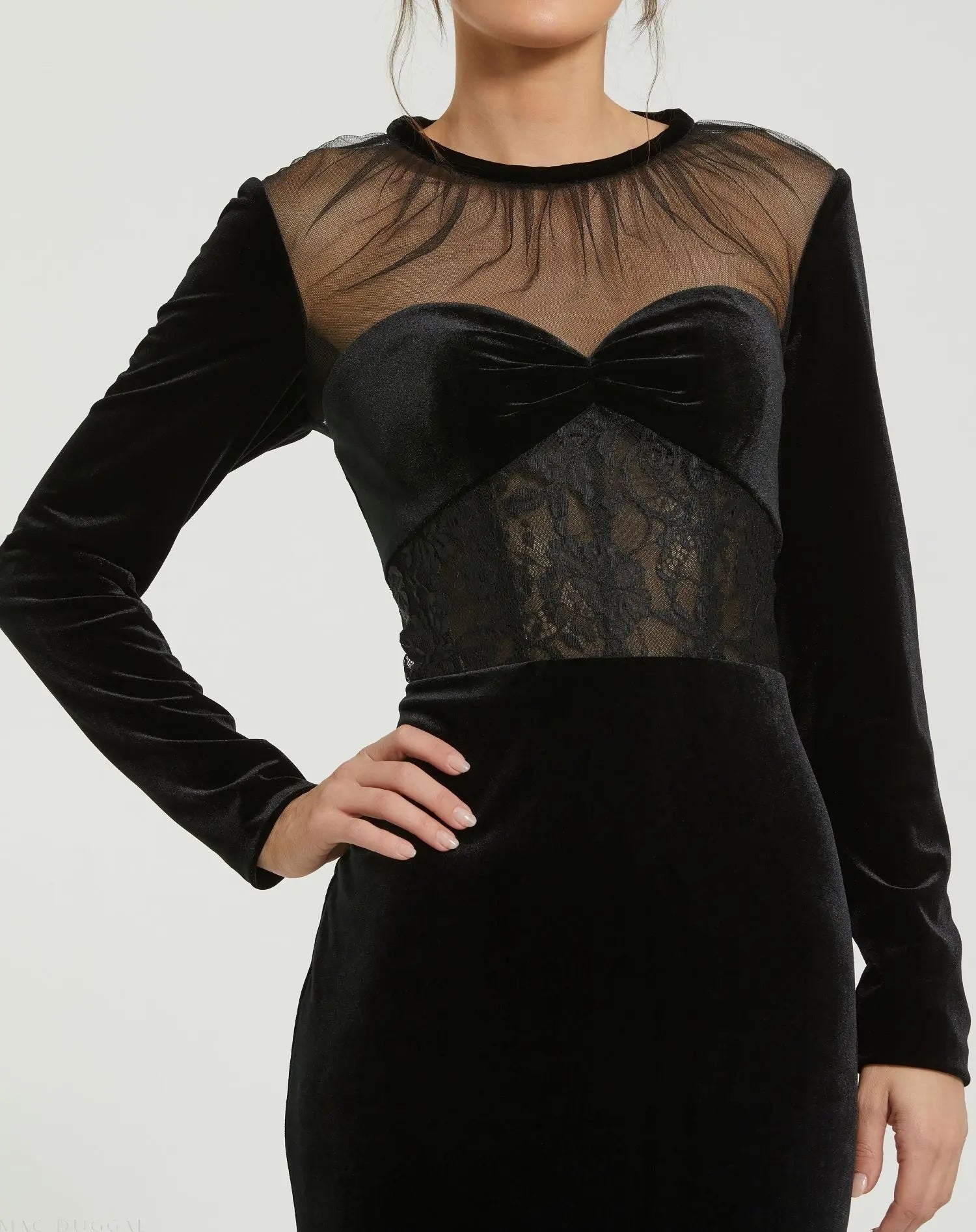 Black Long Sleeve Sheer Top Lace Bustier Velvet Gown